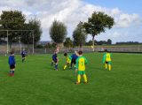 S.K.N.W.K. JO11-1JM - Colijnsplaatse Boys JO11-1 (competitie) seizoen 2022-2023 (najaar - 1e fase)) (66/69)